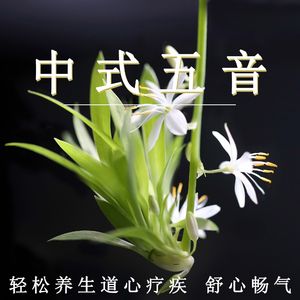 色悠悠在线播放
